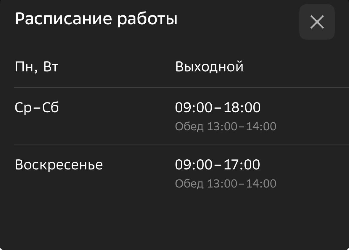 Перелет с кошкой из Новосибирска в Белград: личный опыт