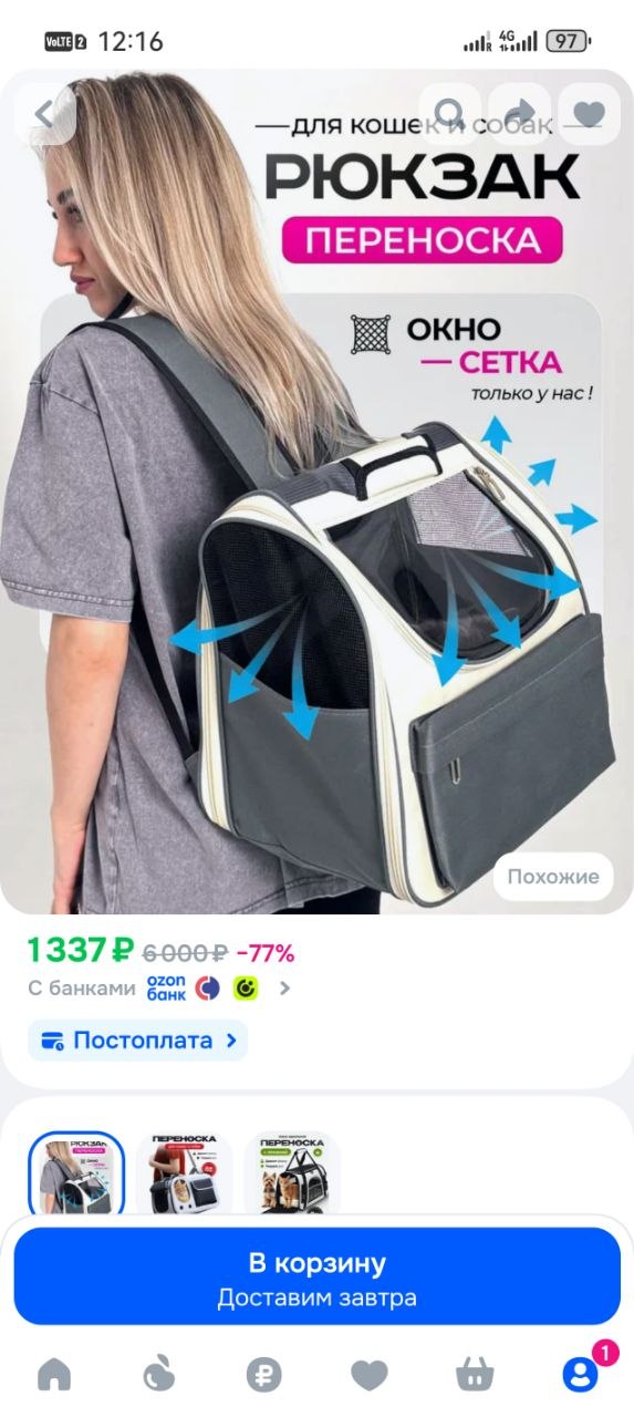 Перелет с котом из Санкт-Петербурга на Фукуок