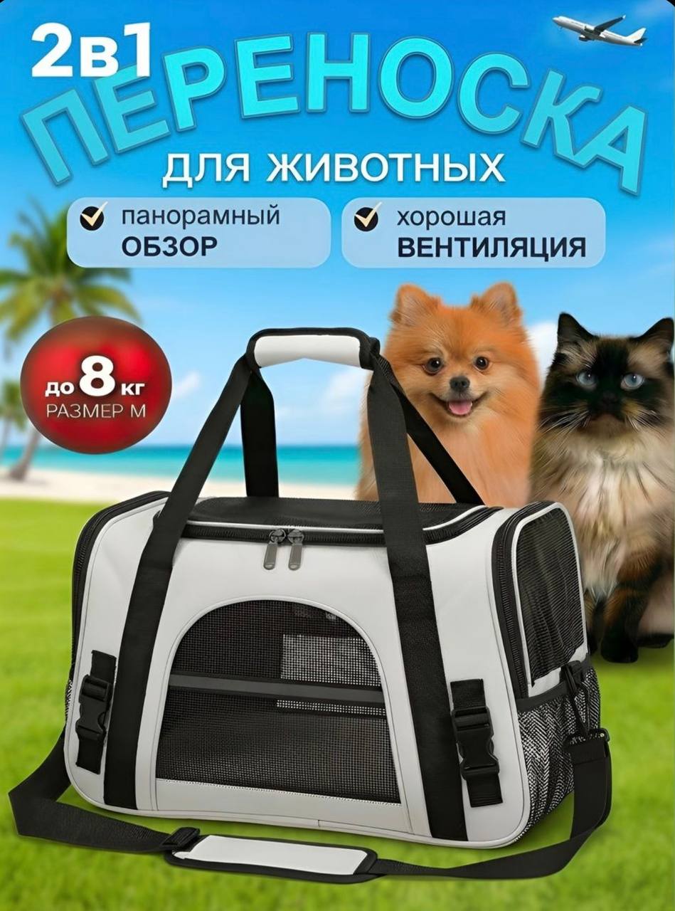 Фото 4 к публикации «Переезд с котом во Вьетнам: личный опыт и подготовка»