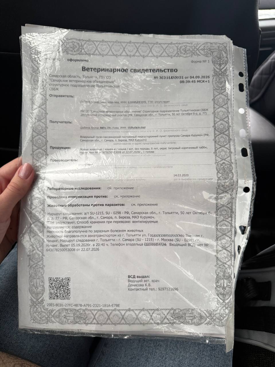 Фото 3 к публикации «Как получить справку для вылета с котом и пройти ветконтроль»