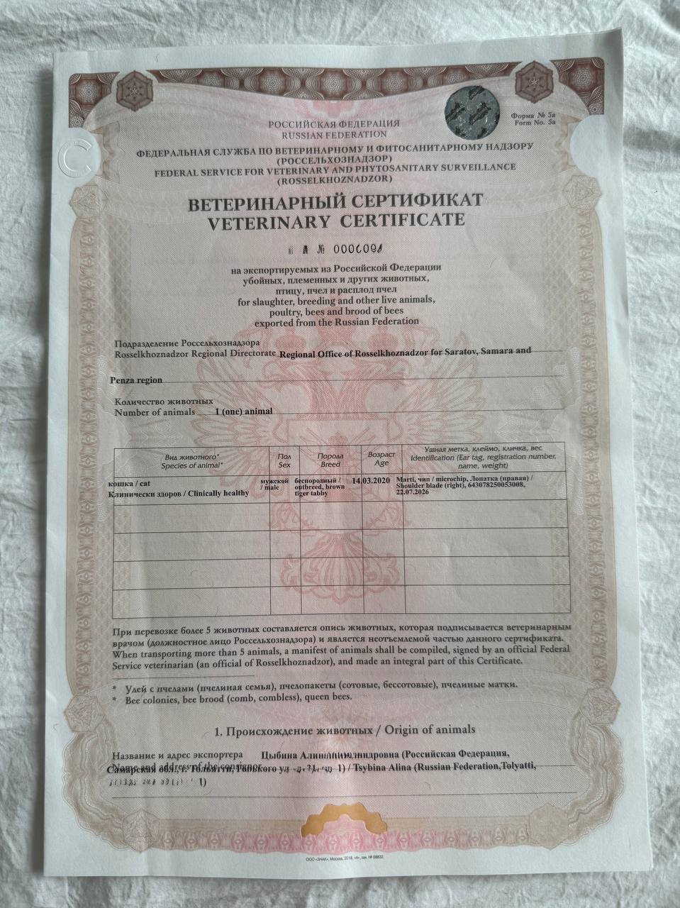 Фото 4 к публикации «Как получить справку для вылета с котом и пройти ветконтроль»