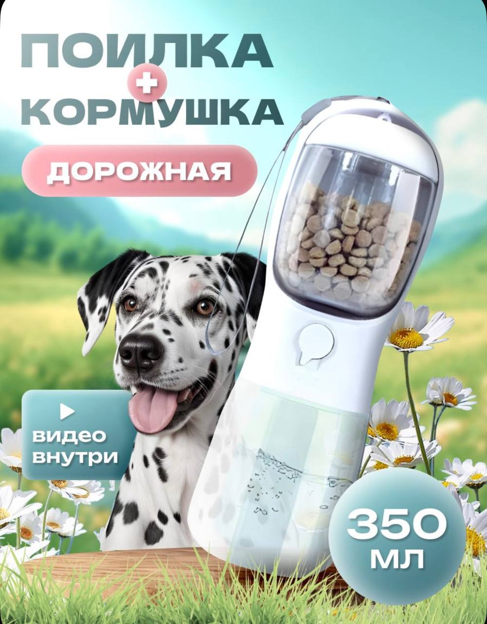 Фото 6 к публикации «Как получить справку для вылета с котом и пройти ветконтроль»