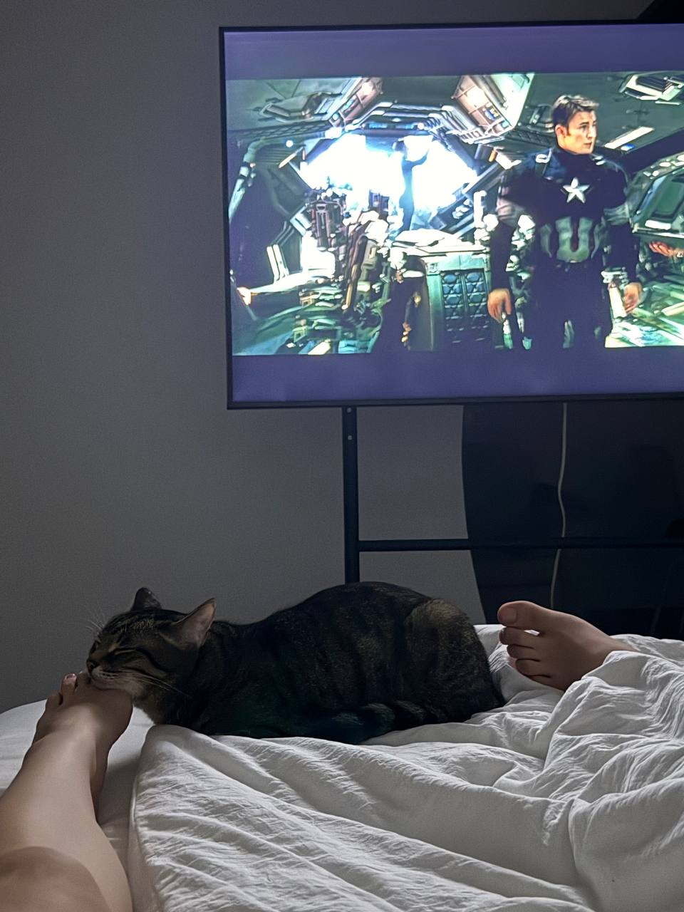 Фото 5 к публикации «Перелет с котом в Шереметьево и во Вьетнам: наш опыт и советы»