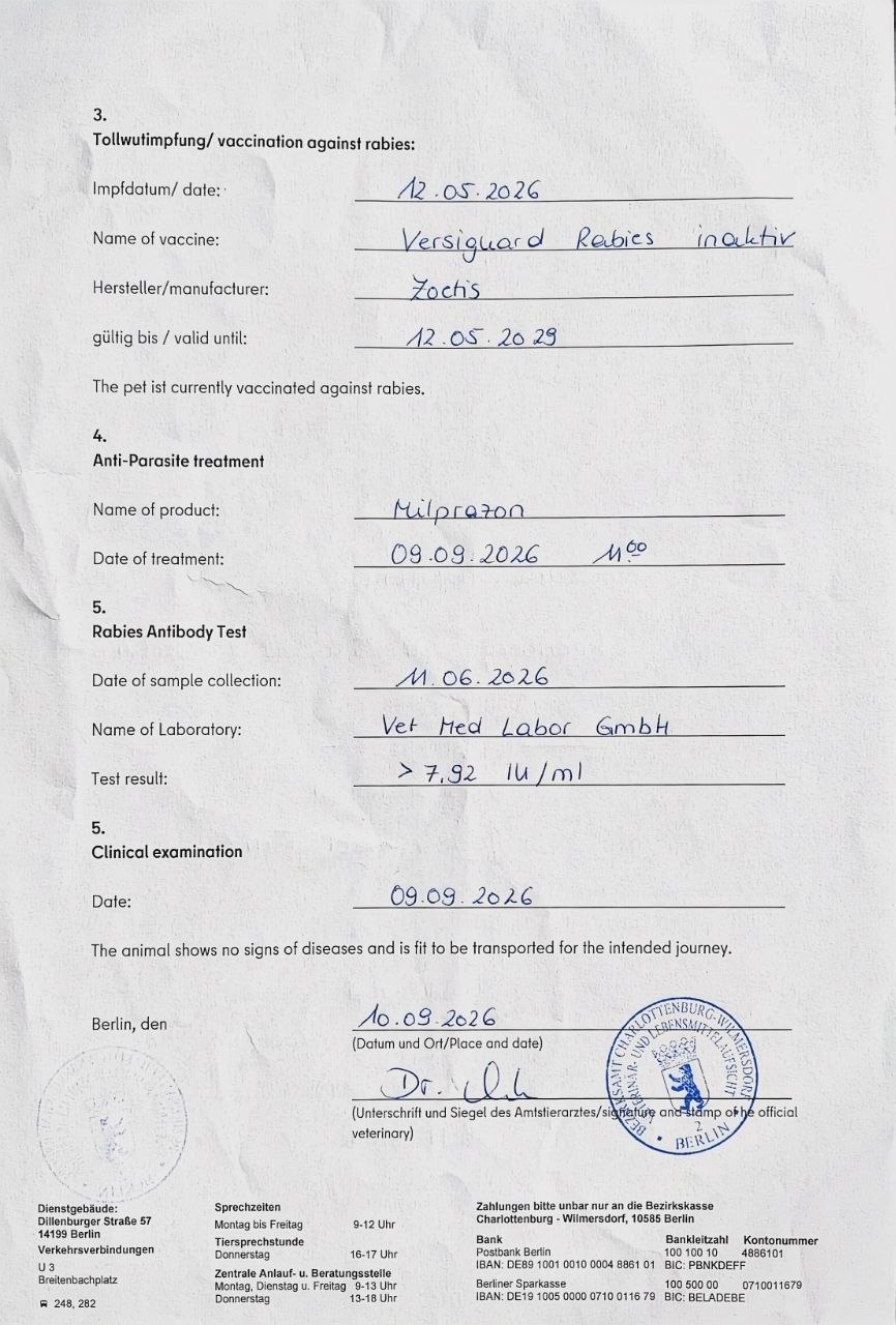 Питомцы в Испании: полезная справка и сообщество