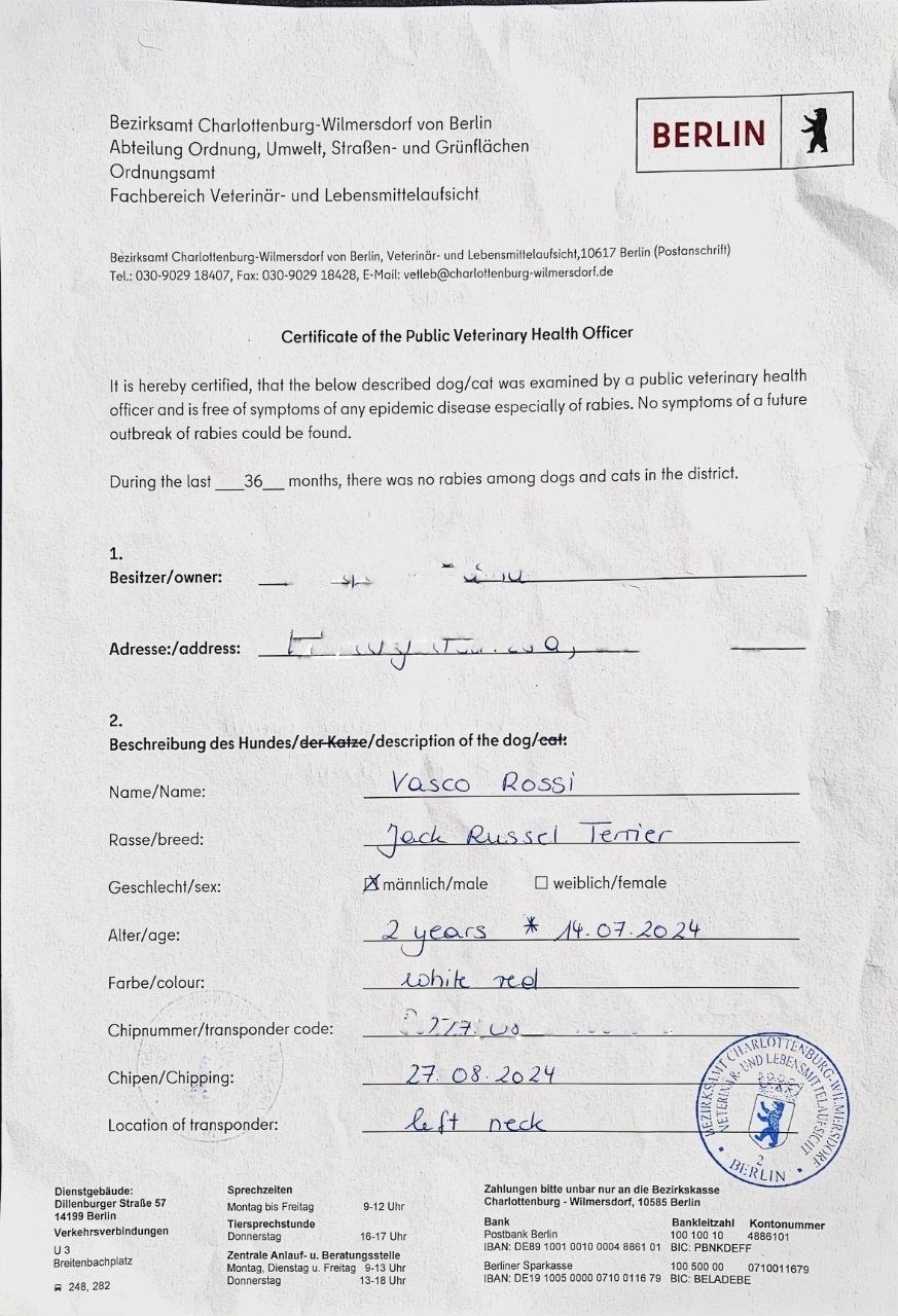 Фото 1 к публикации «Питомцы в Испании: полезная справка и сообщество»
