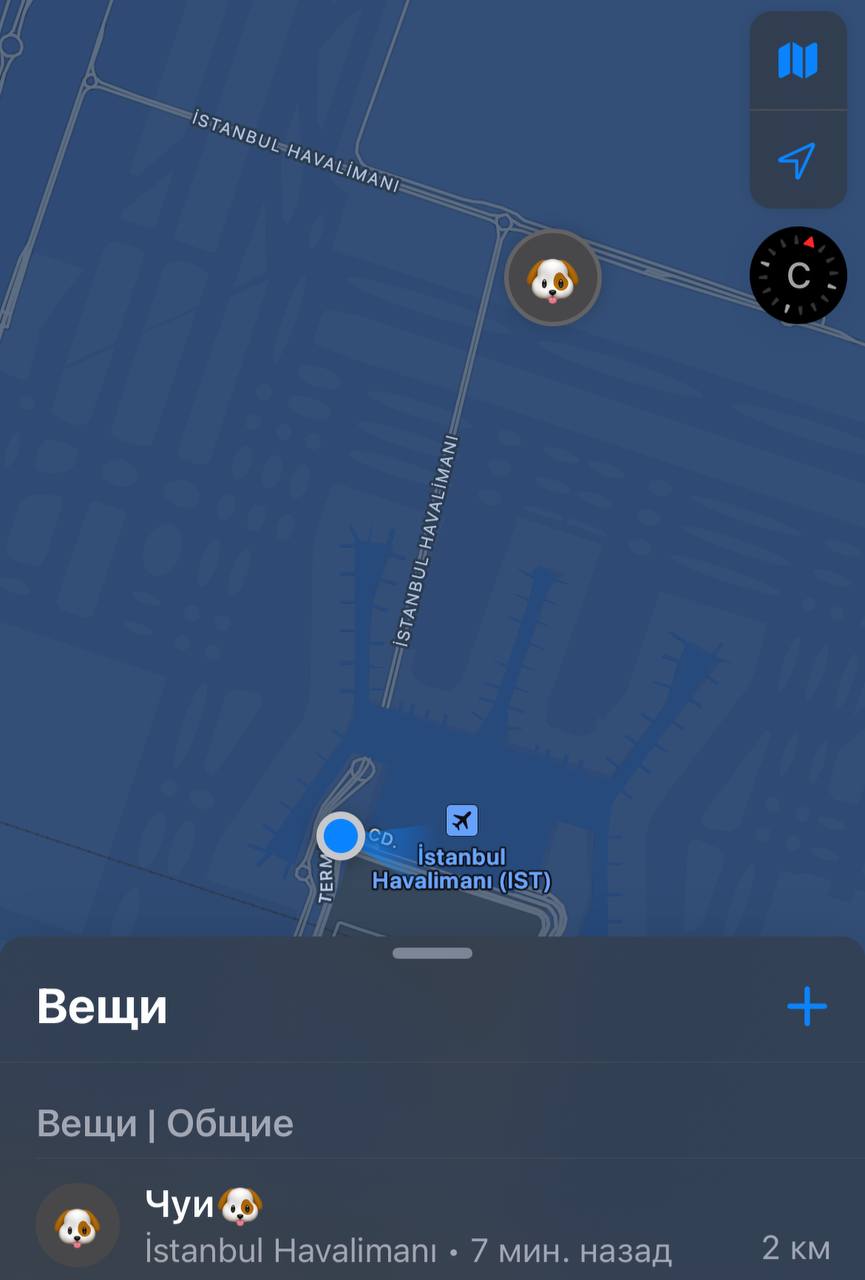 Фото 2 к публикации «Налог на питомцев в Испании: что нужно знать владельцам»