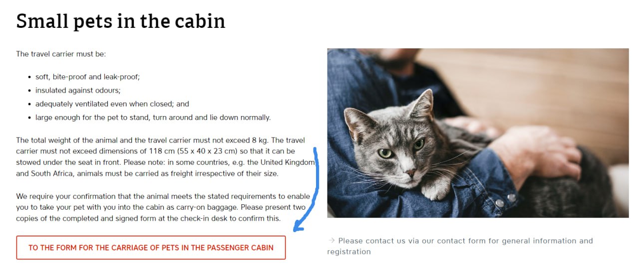 Как путешествовать с котами на Austrian Airlines: правила и советы