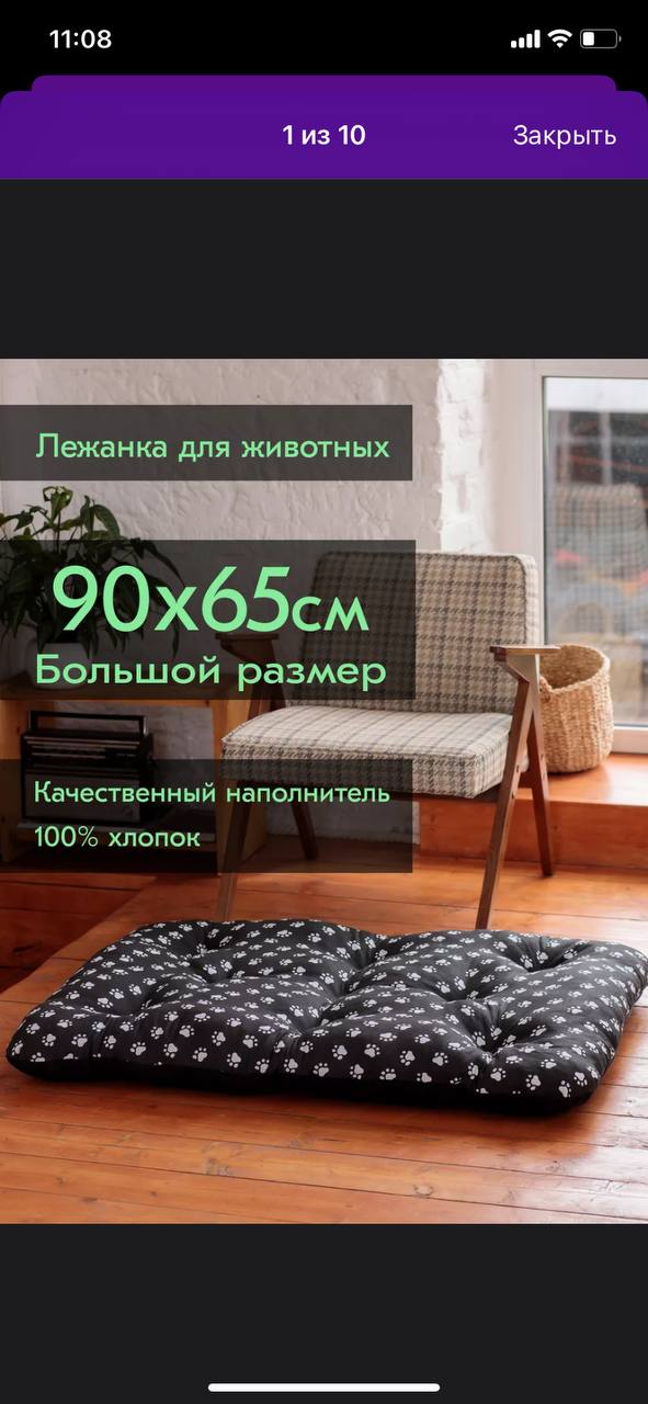Фото 1 к публикации «Переезд с крупной собакой: Владивосток — Новосибирск — Ташкент»